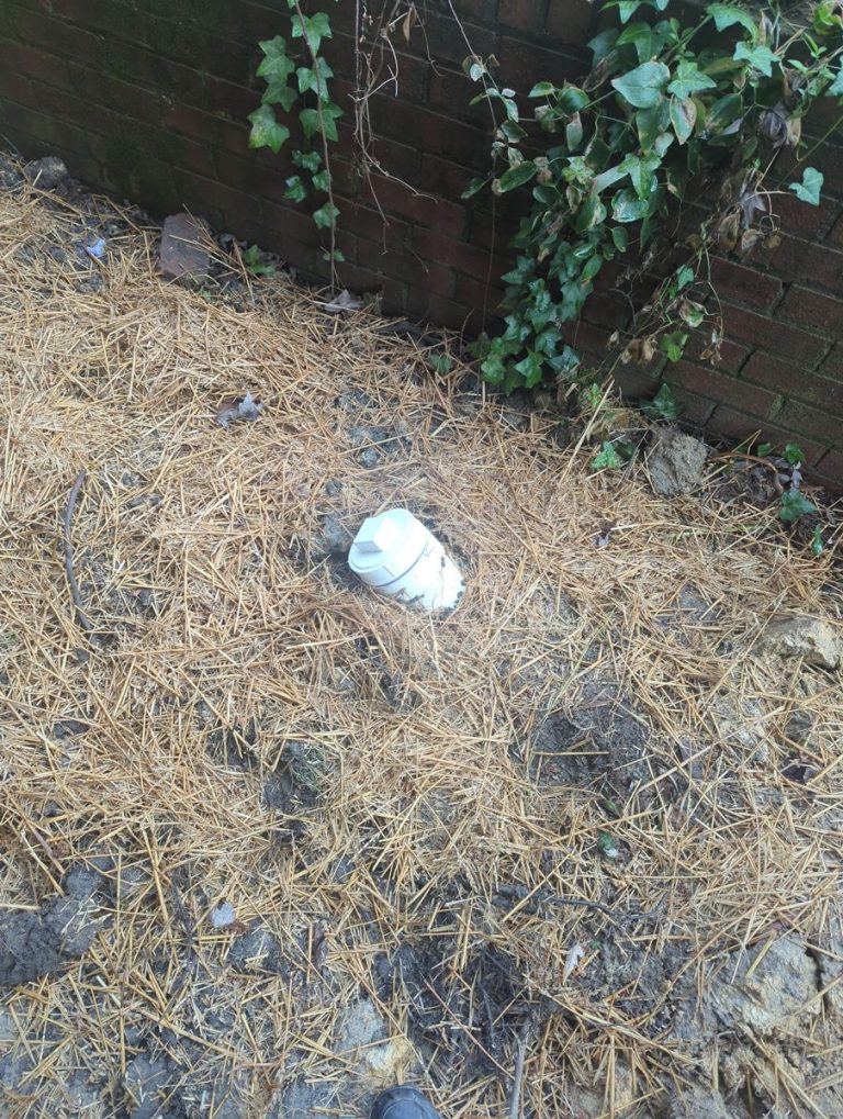 Finished sewer cleanout cap at ground level in a landscaped bed